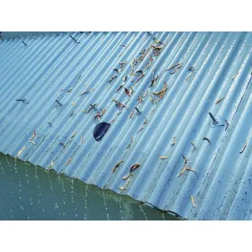 Mini PC Lenovo 11G7S01600 8 GB 256 GB AMD Ryzen 3