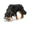 Dog Feeder Hunter Silicone Stainless steel 1,05 L