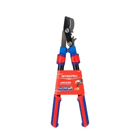 Divroku zāģi Workpro