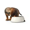 Dog Feeder Hunter Black 1,4 L Melamin