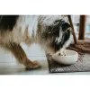 Dog Feeder Hunter White Ceramic Silicone 310 ml Modern