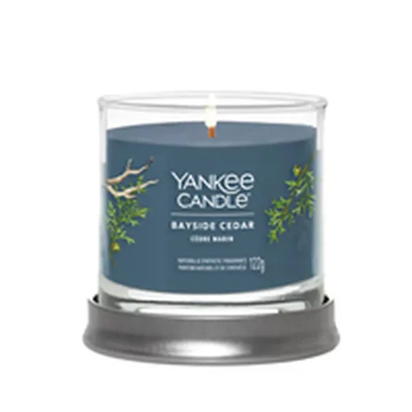 Aromātiska svece Yankee Candle Bayside Cedar 122 ml