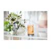 Ароматизированная свеча Yankee Candle Mango Ice Cream 567 g