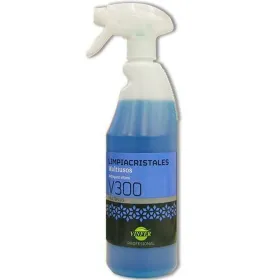 Жидкость для мытья стёкол VINFER V300
