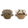 Decorative Plant Home ESPRIT Flower 22 x 22 x 14 cm (2 Units)