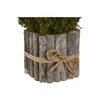 Decorative Plant Home ESPRIT Flower 18 x 18 x 24 cm (2 Units)