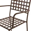Sodo krėslas Cartago 56 x 60 x 90 cm Geležis