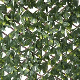 Целозия Natural Laurel плетеный Бамбук 2 x 200 x 100 cm