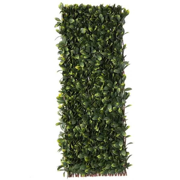 Целозия Natural Laurel плетеный Бамбук 2 x 200 x 100 cm
