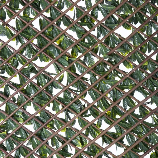 Ristikko Natural Muratti korihuonekalut Bambu 2 x 200 x 100 cm