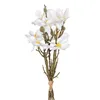 Bunch White Green 37 x 20 x 41 cm Magnolia