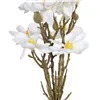 Bunch White Green 37 x 20 x 41 cm Magnolia