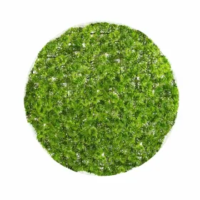 Dekoratīvs Augs   Чаша Sūnas 30 x 30 x 30 cm