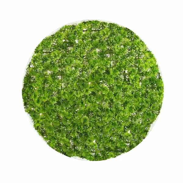 Декоративное растение   Чаша Мох 30 x 30 x 30 cm