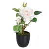 Decorative Plant Polyester Polyethylene Iron Pink 16 x 16 x 31 cm