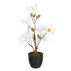 Decorative Plant Polyester Polyethylene Iron 25 x 25 x 49 cm Magnolia