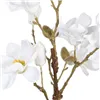 Decorative Plant Polyester Polyethylene Iron 25 x 25 x 49 cm Magnolia