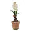 Decorative Plant Polyester Polyethylene Iron Melamin 9,5 x 9,5 x 29 cm