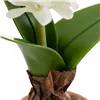 Decorative Plant Polyester Polyethylene Iron Melamin 9,5 x 9,5 x 29 cm