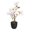 Decorative Plant Polyester Polyethylene Iron 25 x 25 x 49 cm Magnolia