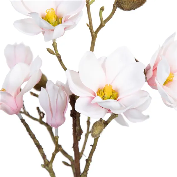 Decorative Plant Polyester Polyethylene Iron 25 x 25 x 49 cm Magnolia