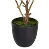 Decorative Plant Polyester Polyethylene Iron 25 x 25 x 49 cm Magnolia