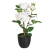 Decorative Plant Polyester Polyethylene Iron Pink 27 x 27 x 38 cm