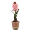 Decorative Plant Polyester Polyethylene Iron Melamin 9,5 x 9,5 x 29 cm