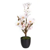 Decorative Plant Polyester Polyethylene Iron 30 x 30 x 60 cm Magnolia