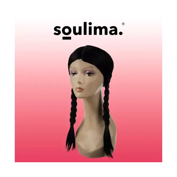 Long women's wig - braids Soulima 21773