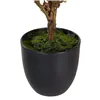 Decorative Plant Polyester Polyethylene Iron 30 x 30 x 60 cm Magnolia