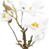 Decorative Plant Polyester Polyethylene Iron 22 x 22 x 38 cm Magnolia