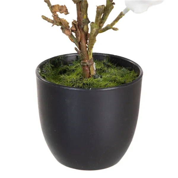 Decorative Plant Polyester Polyethylene Iron 22 x 22 x 38 cm Magnolia