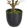 Decorative Plant Polyester Polyethylene Iron 22 x 22 x 38 cm Magnolia