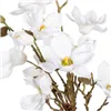 Decorative Plant Polyester Polyethylene Iron 30 x 30 x 60 cm Magnolia