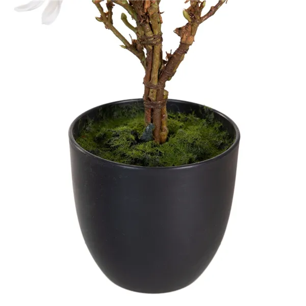 Decorative Plant Polyester Polyethylene Iron 30 x 30 x 60 cm Magnolia