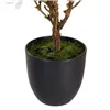 Decorative Plant Polyester Polyethylene Iron 30 x 30 x 60 cm Magnolia