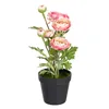 Decorative Plant Polyester Polyethylene Iron Flower 12,5 x 12,5 x 37 cm