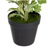 Decorative Plant Polyester Polyethylene Iron Flower 12,5 x 12,5 x 37 cm