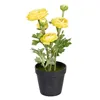 Decorative Plant Polyester Polyethylene Iron Flower 12,5 x 12,5 x 37 cm