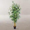 Decorative Plant Cement Fabric Bamboo 150 cm