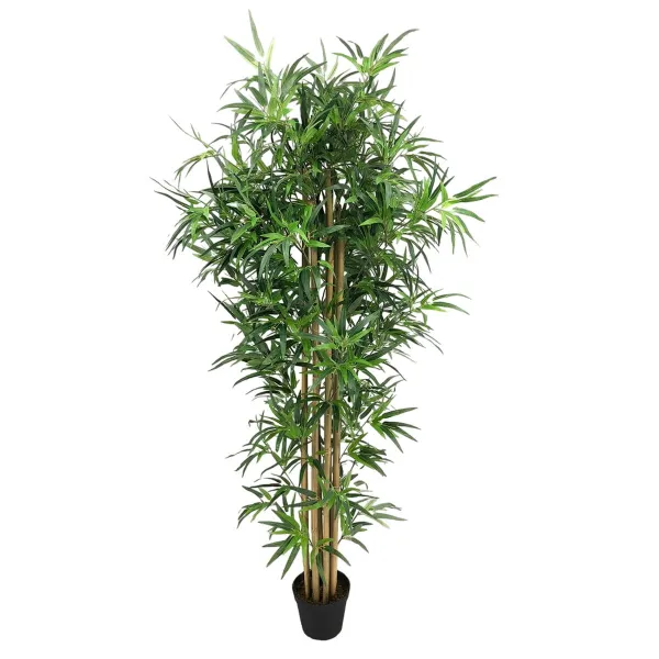 Dekoratyvinis augalas Cementas Medžiaga Bambukas 180 cm