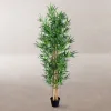 Dekoratīvs Augs Cements Audums Bambuss 210 cm