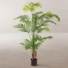 Koristekasvi Polyuretaani Sementti Areca 150 cm