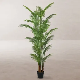 Dekoratīvs Augs Poliuretāns Cements Areca 210 cm