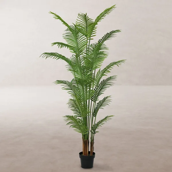 Dekoratyvinis augalas Poliuretanas Cementas Areca 210 cm