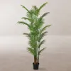 Koristekasvi Polyuretaani Sementti Areca 210 cm