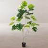 Koristekasvi Polyuretaani Sementti Monstera 180 cm