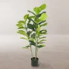 Koristekasvi Polyuretaani Sementti Fiikus 120 cm