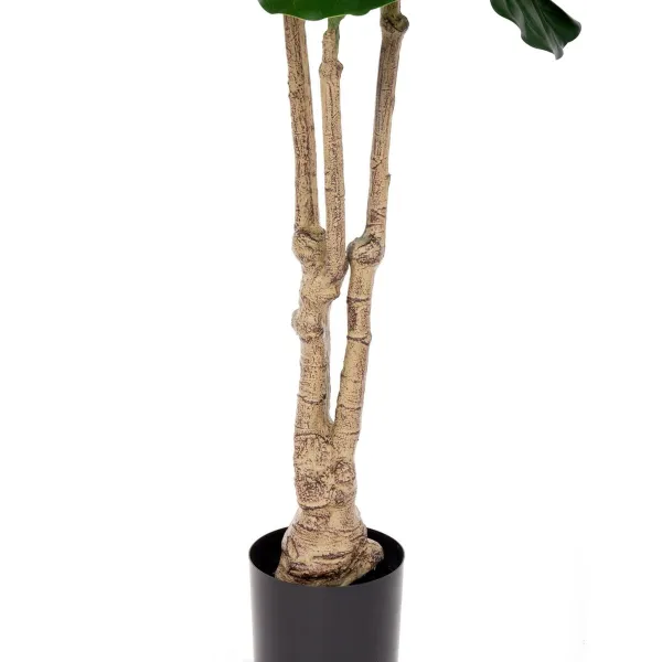 Koristekasvi Polyuretaani Sementti Fiikus 175 cm